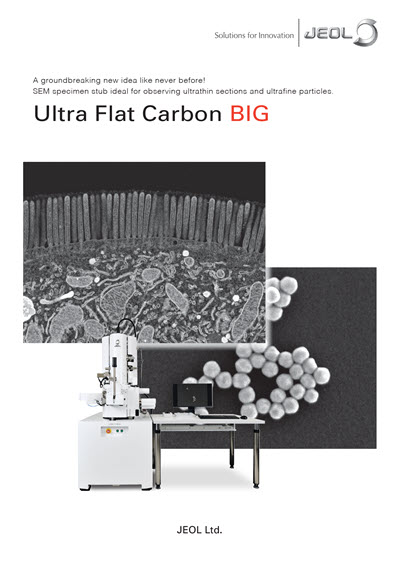 Ultra Flat Carbon BIG